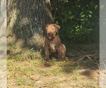 Small #12 Breeder Profile image