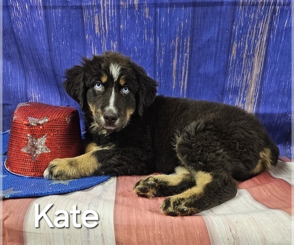 Medium Photo #5  Breeder Profile in HOMERVILLE, GA, USA