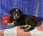 Small #4 Breeder Profile image