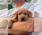 Small #2 Breeder Profile image