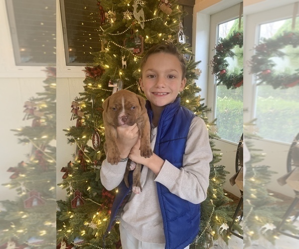 Medium Photo #49  Breeder Profile in COLUMBIA, KY, USA