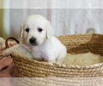 Small #37 Breeder Profile image