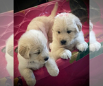 Small #3 Breeder Profile image