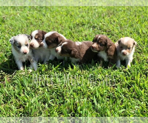Medium Photo #1  Breeder Profile in WEIR, KS, USA
