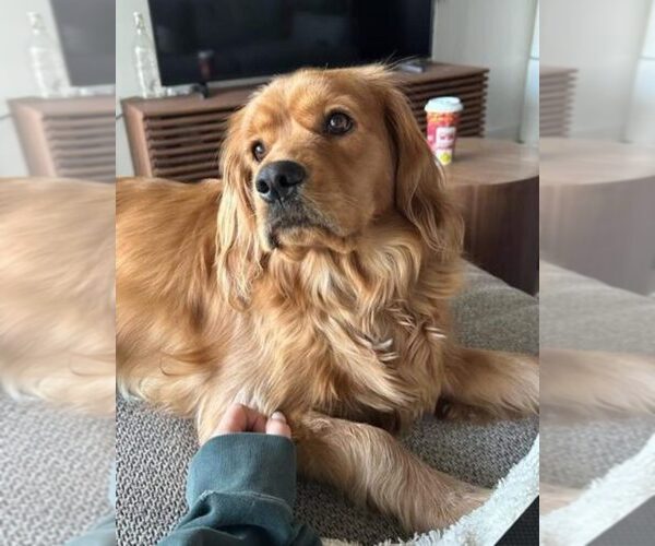 Medium Photo #12  Breeder Profile in Aylmer, Ontario, Canada