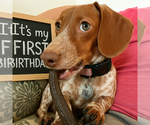 Small #6 Breeder Profile image