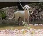 Small #6 Breeder Profile image