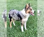 Small #99 Breeder Profile image