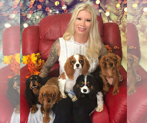 Medium Photo #14  Breeder Profile in MIAMI, FL, USA