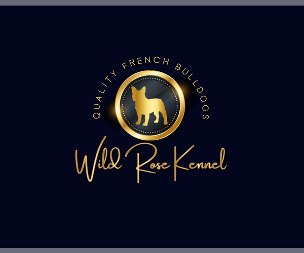 Medium Photo #7  Breeder Profile in SAN ANTONIO, TX, USA