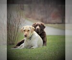 Small #14 Breeder Profile image
