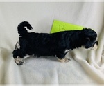 Small #9 Breeder Profile image