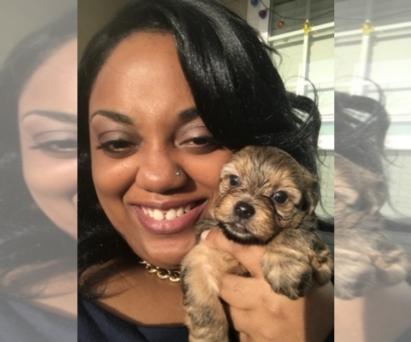 Medium Photo #1  Breeder Profile in SAVANNAH, GA, USA