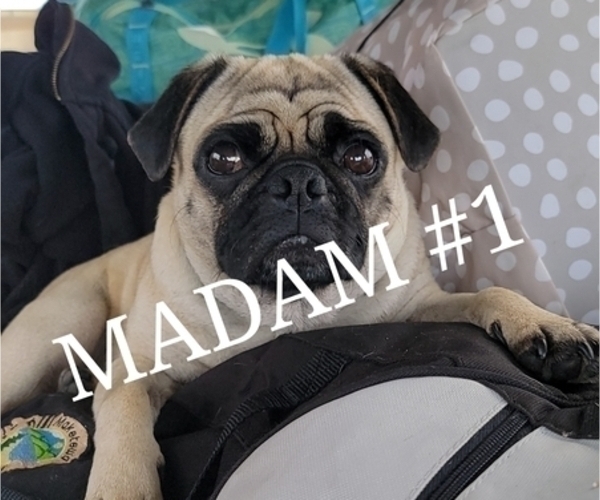 Medium Photo #4  Breeder Profile in CINCINNATI, OH, USA