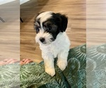 Small #1 Breeder Profile image