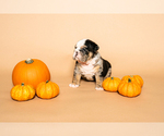 Small #2 Breeder Profile image