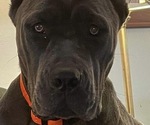 Small #10 Breeder Profile image