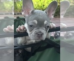 Small #2 Breeder Profile image