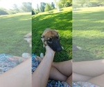 Small #21 Breeder Profile image