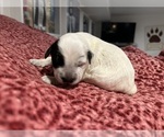 Small #7 Breeder Profile image