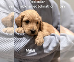 Small Photo #2  Breeder Profile in BLANCHESTER, OH, USA