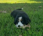 Small #4 Breeder Profile image