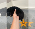 Small #8 Breeder Profile image
