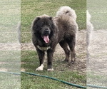 Small #59 Breeder Profile image