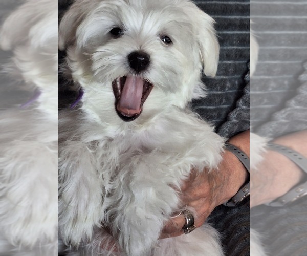 Medium Photo #2  Breeder Profile in BEAR RIVER, WY, USA