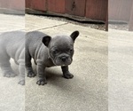 Small #4 Breeder Profile image