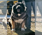 Small #109 Breeder Profile image