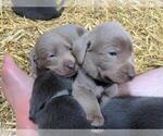 Small #10 Breeder Profile image