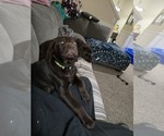 Small #4 Breeder Profile image