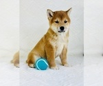 Small #2 Breeder Profile image