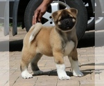 Small #5 Breeder Profile image