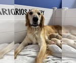 Small #5 Breeder Profile image