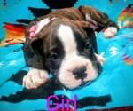Small #4 Breeder Profile image