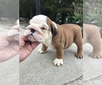 Small #2 Breeder Profile image