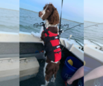 Small #2 Breeder Profile image