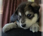 Small #17 Breeder Profile image
