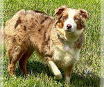 Small #13 Breeder Profile image