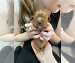 Small #8 Breeder Profile image