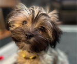 Small #5 Breeder Profile image