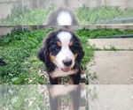 Small #5 Breeder Profile image