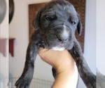 Small #23 Breeder Profile image