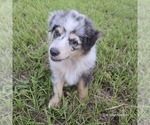 Small #10 Breeder Profile image