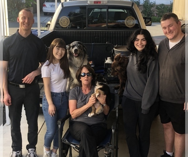 Medium Photo #90  Breeder Profile in SUNNYVALE, CA, USA