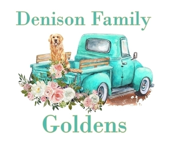 Medium Photo #1  Breeder Profile in OMAHA, TX, USA