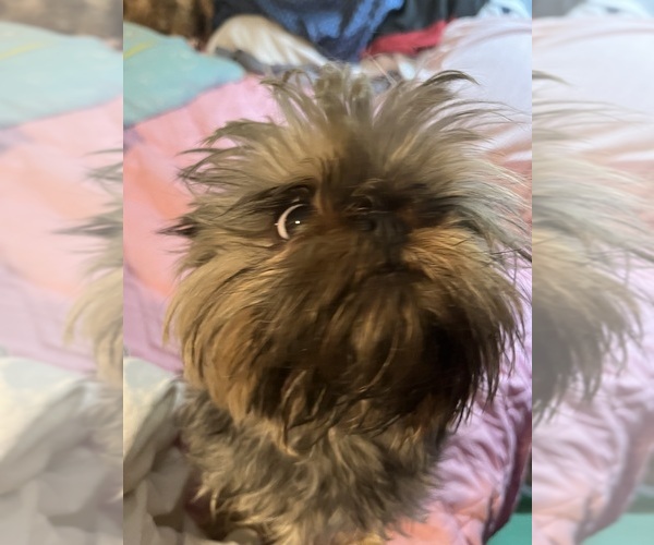 Medium Photo #19  Breeder Profile in SPRING BRANCH, TX, USA