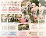 Small #2 Breeder Profile image